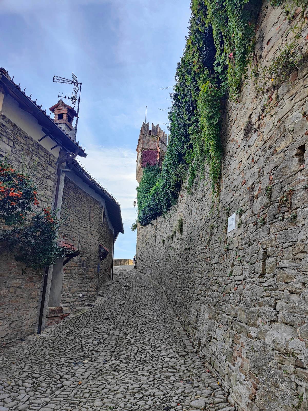 Vertical photo