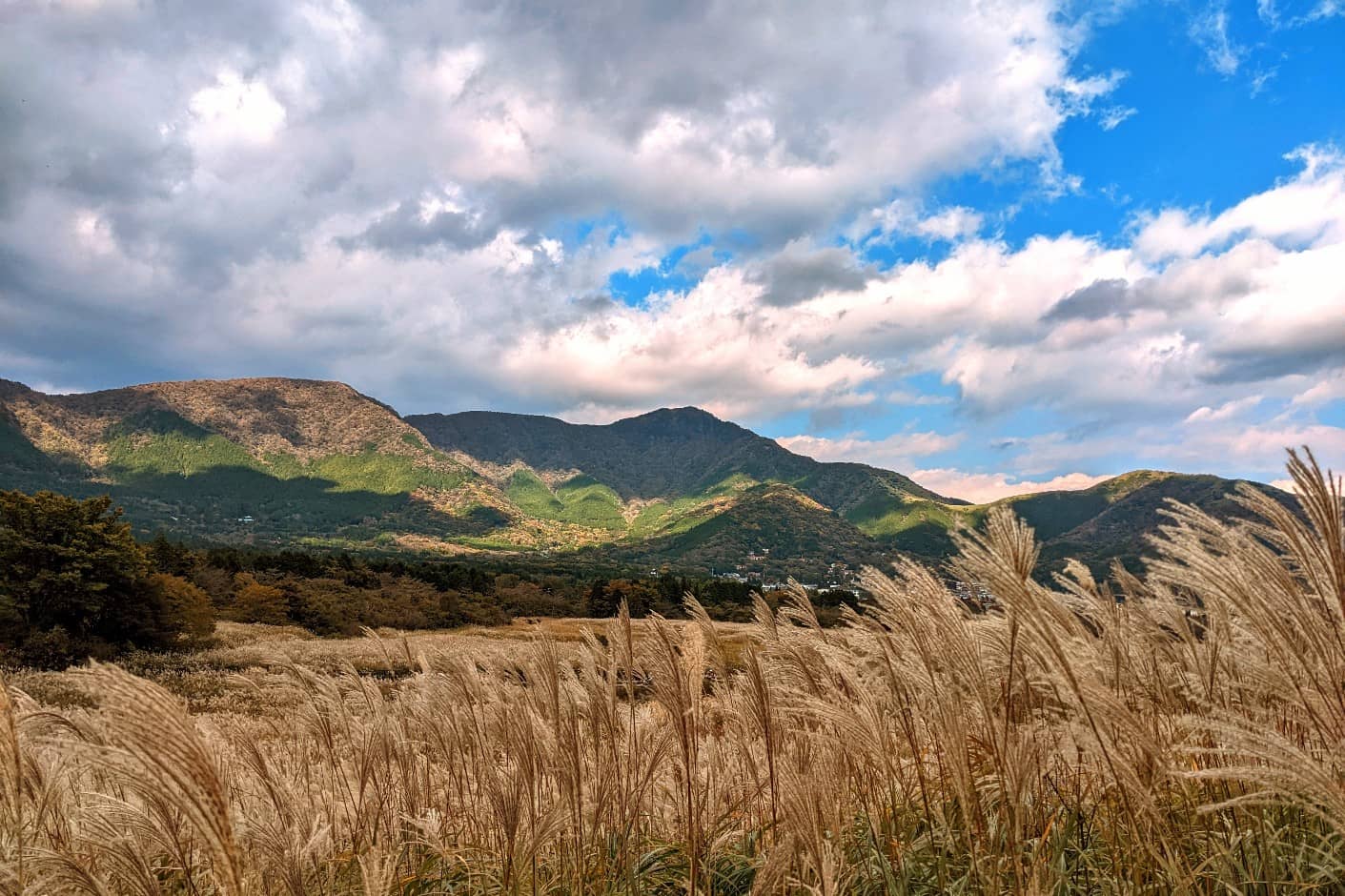 Photography Paradise