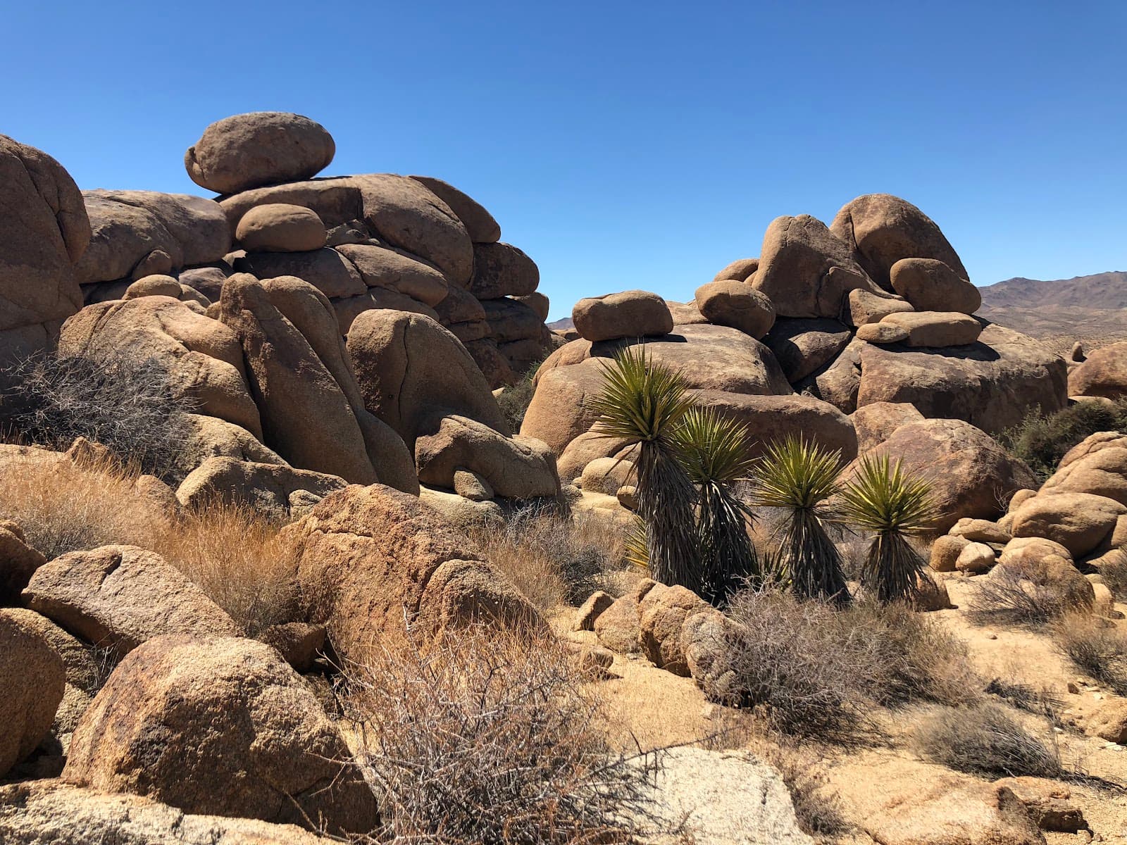 Mastodon Peak - Image 1