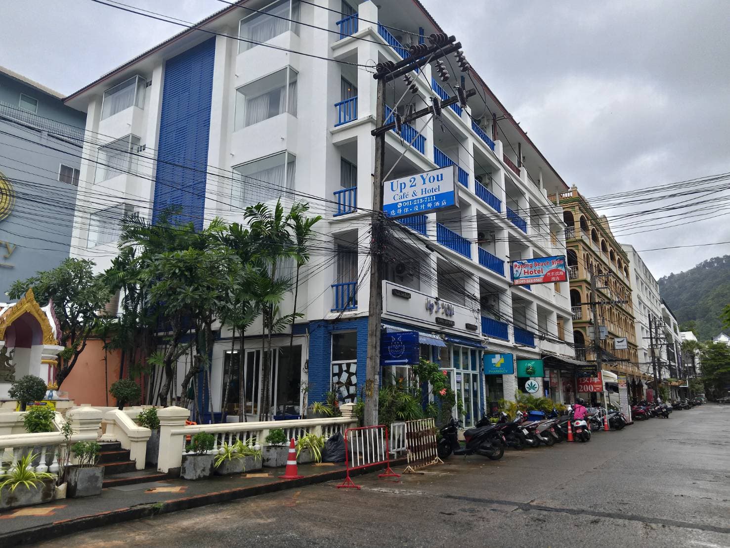 Meow Lounge Cat Cafe - Image 1