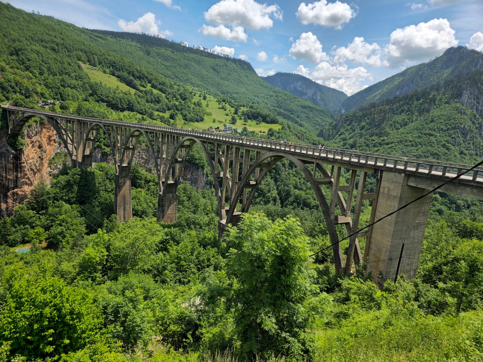 Đurđevića Tara Bridge - Image 1