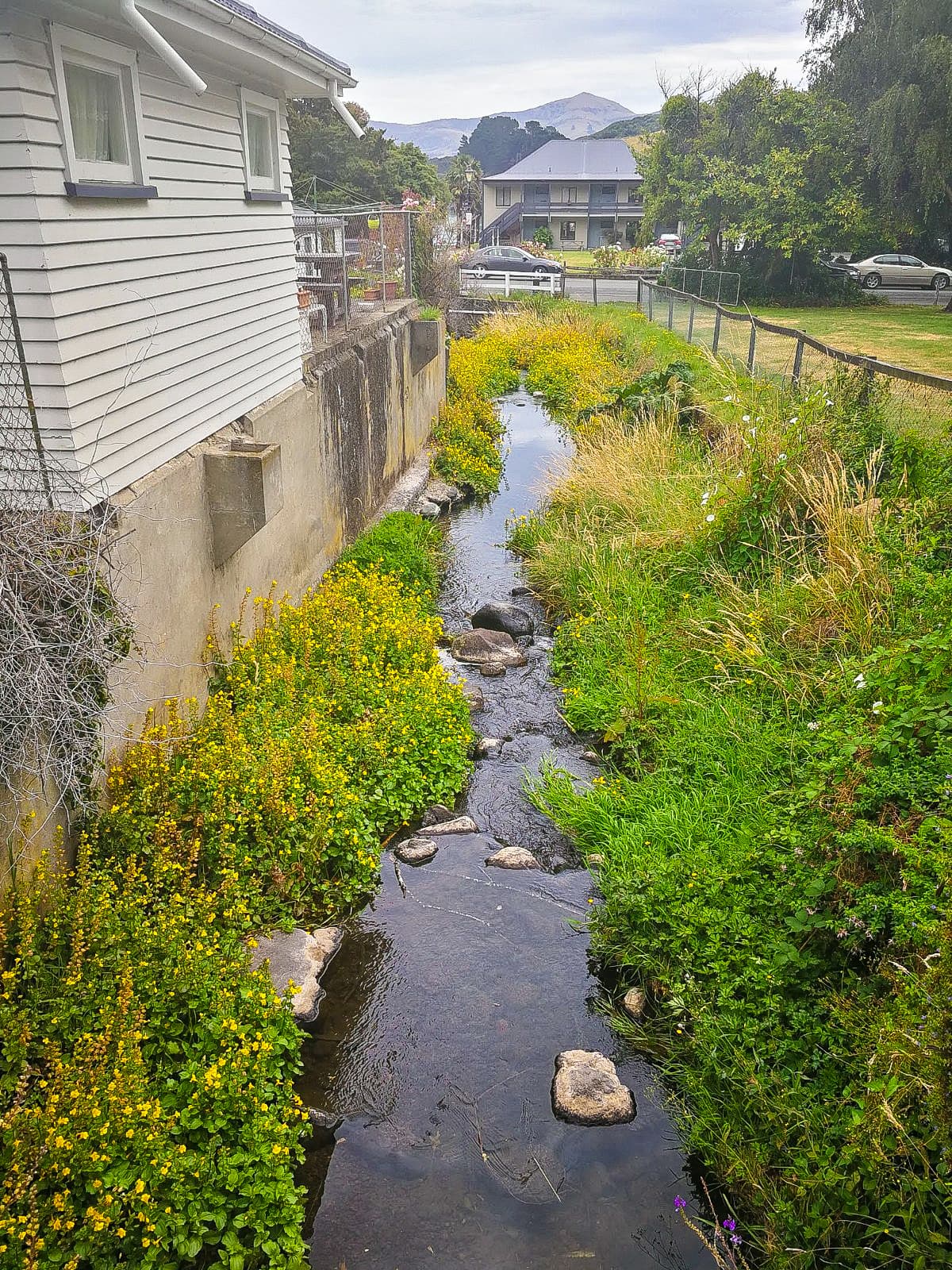 Little River - Image 1
