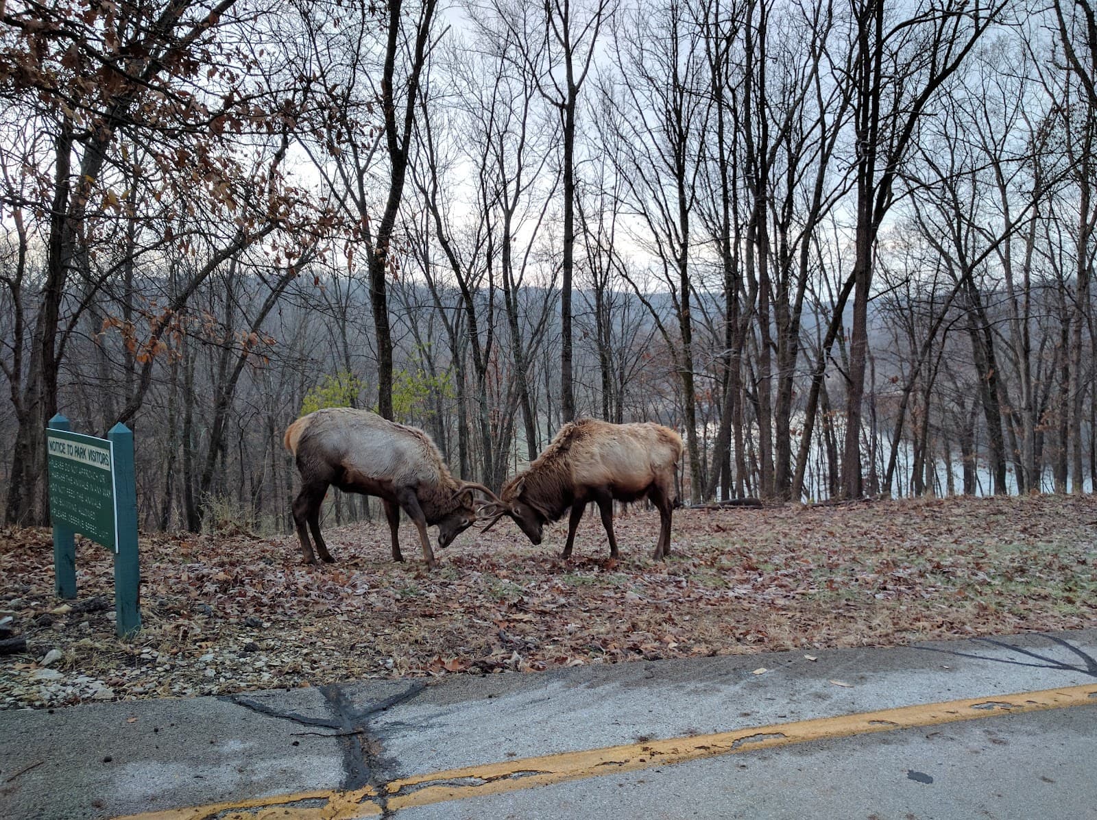 Lone Elk Park - Image 1