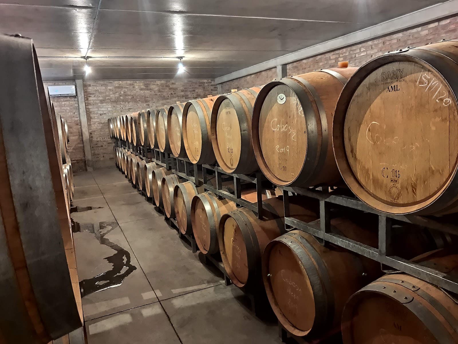 Bodega CarinaE - Image 1