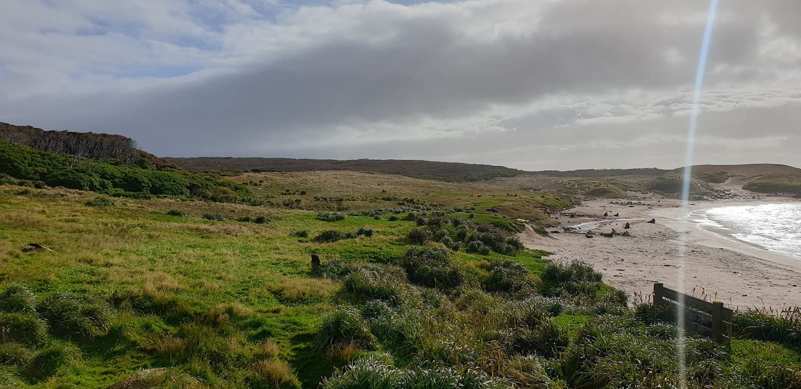 Sandy Bay Enderby Island - Image 1