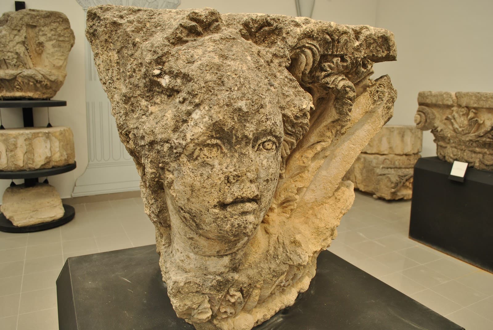 Basilica di San Leucio Canosa di Puglia - Image 1