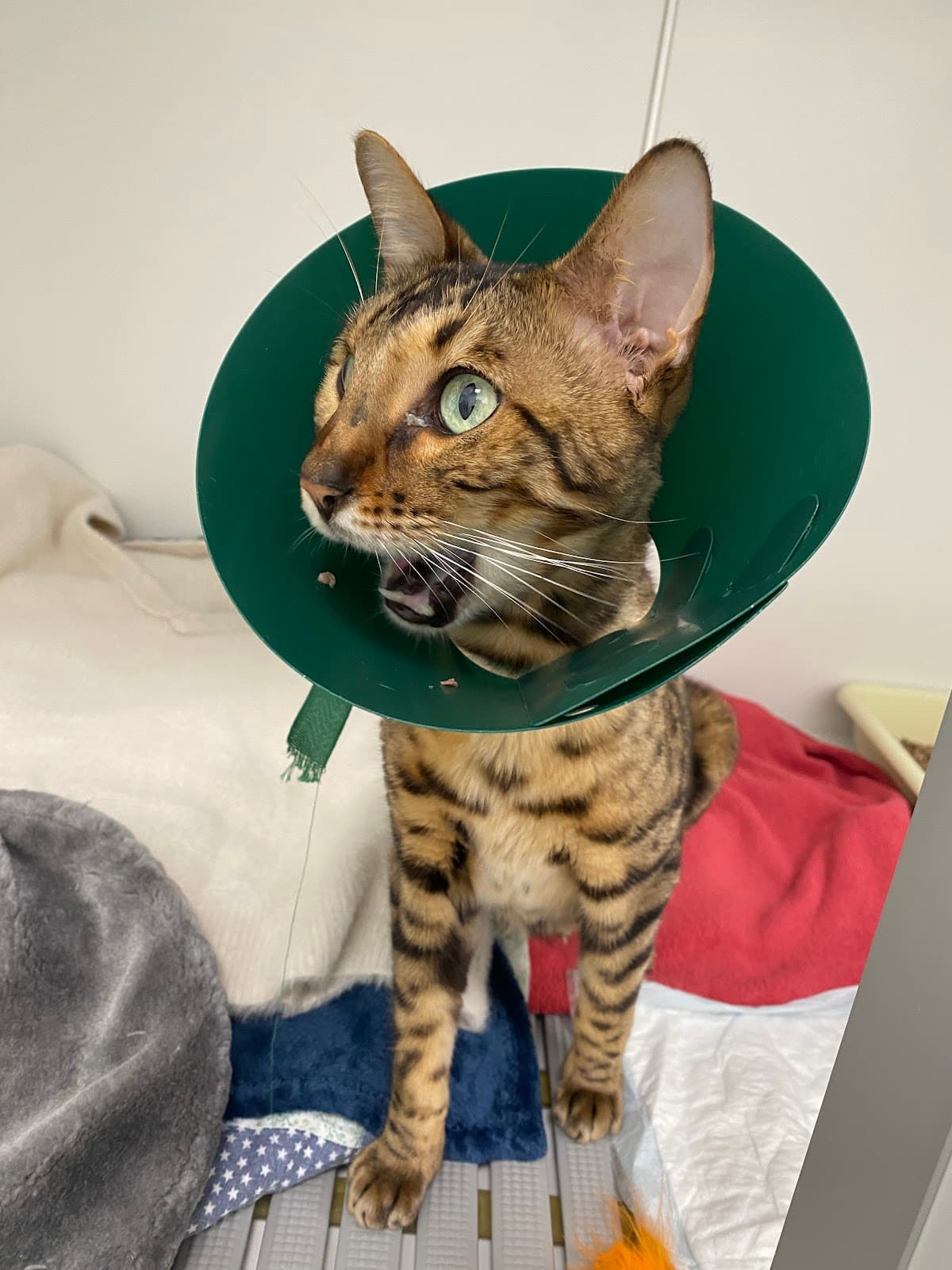 Arles Ramparts - Image 1