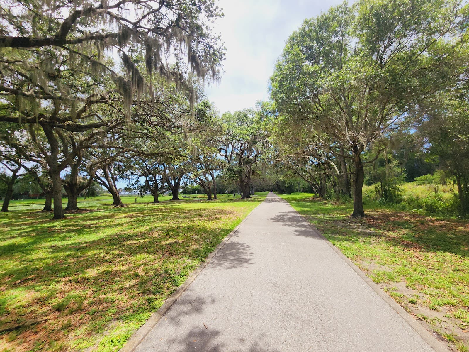 Ream Wilson Trail Clearwater - Image 1