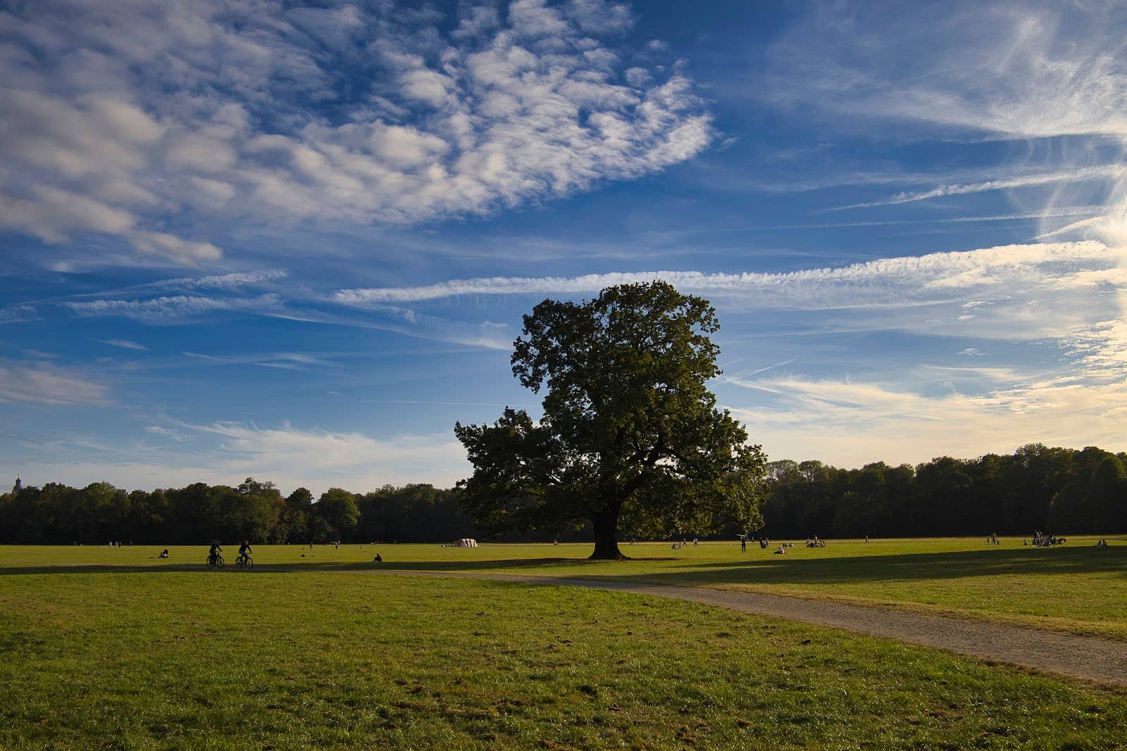 Children's Playground