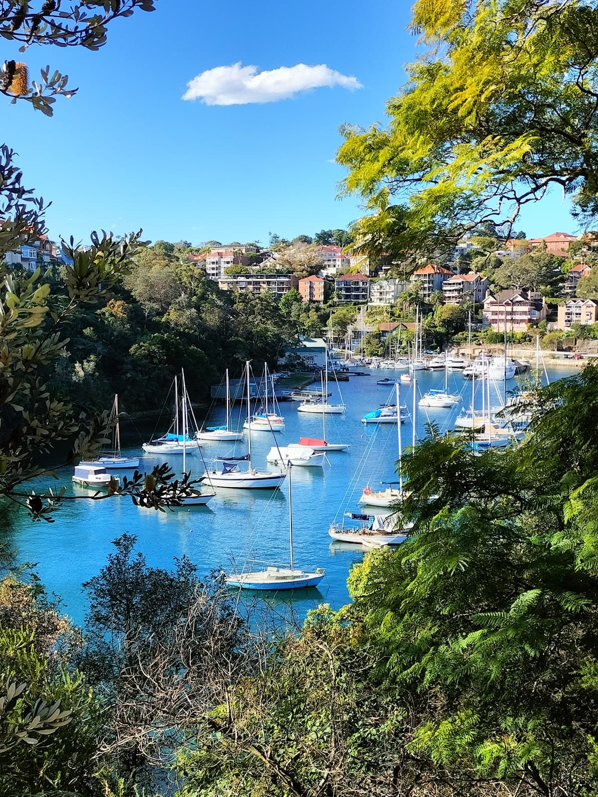 Mosman Bay Foreshore Sydney - Image 1