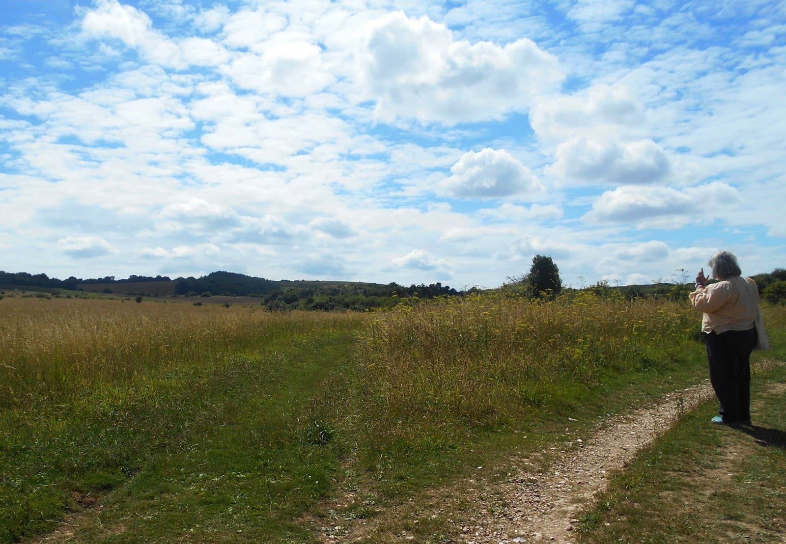 Martin Down National Nature Reserve - Image 1