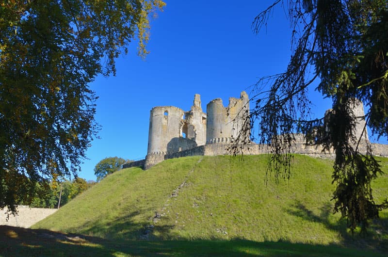 Château de Fère-en-Tardenois (ruins) - Image 1