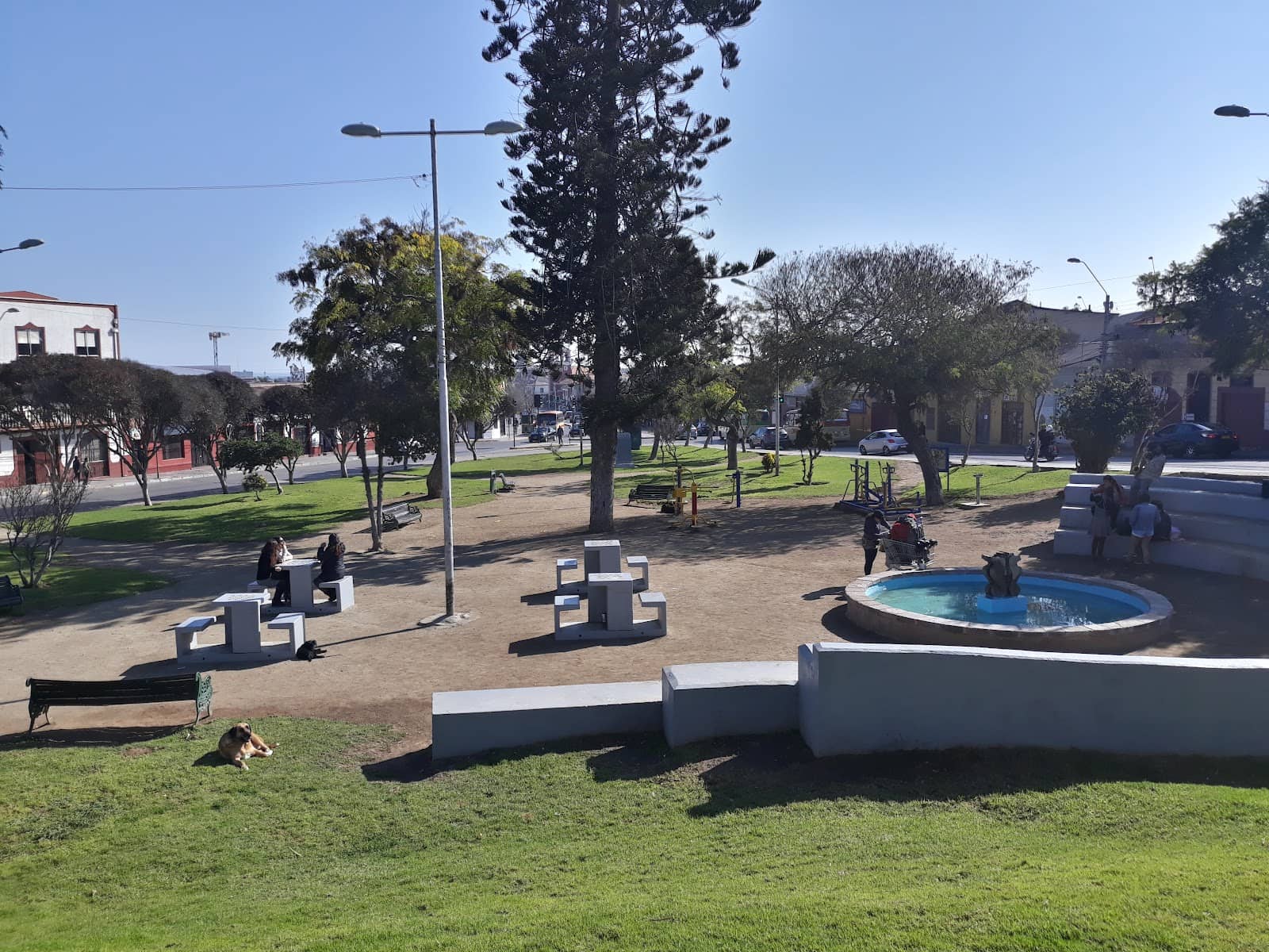 New Culinary Delights