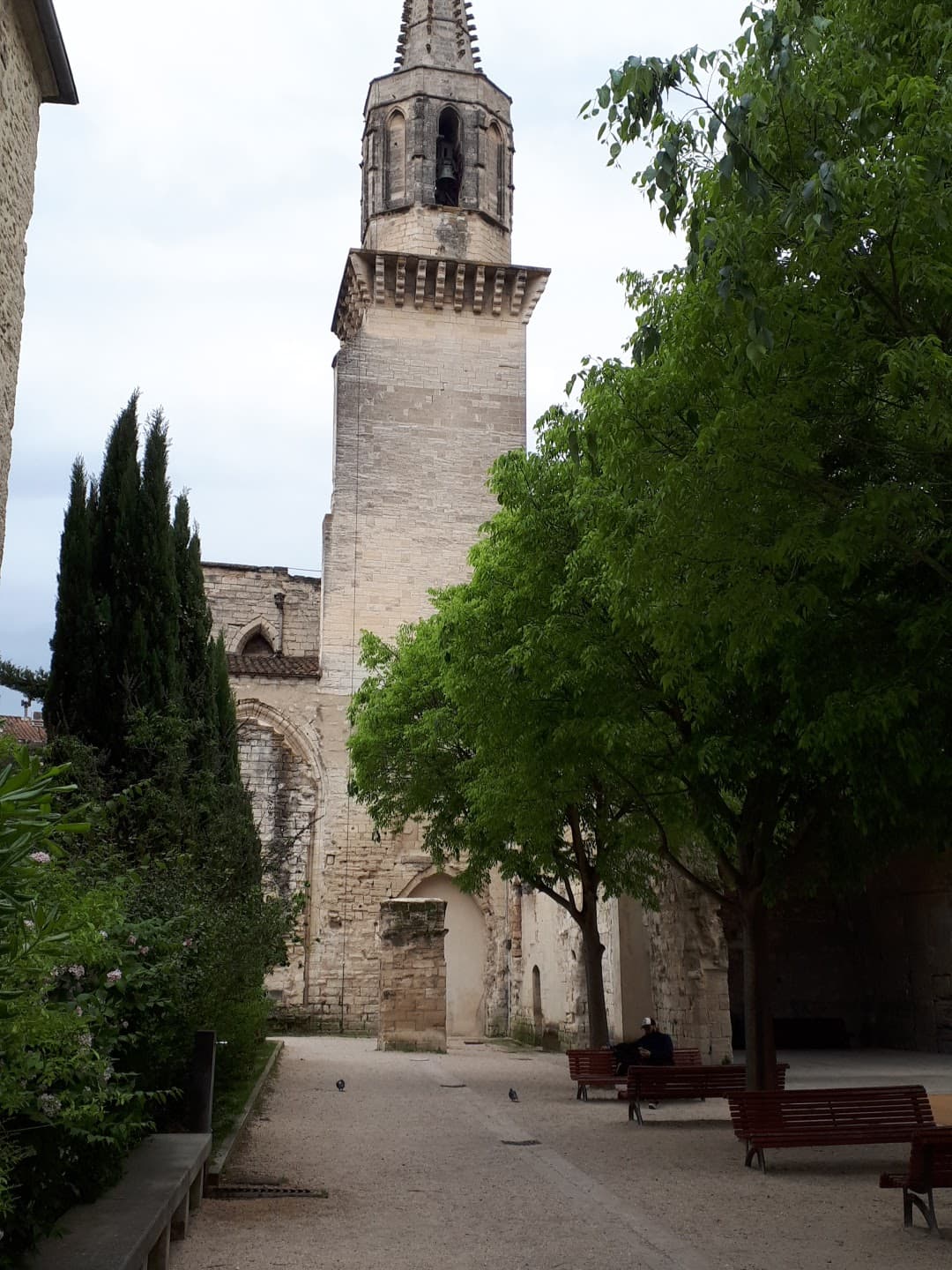 Jardin des Carmes - Image 1