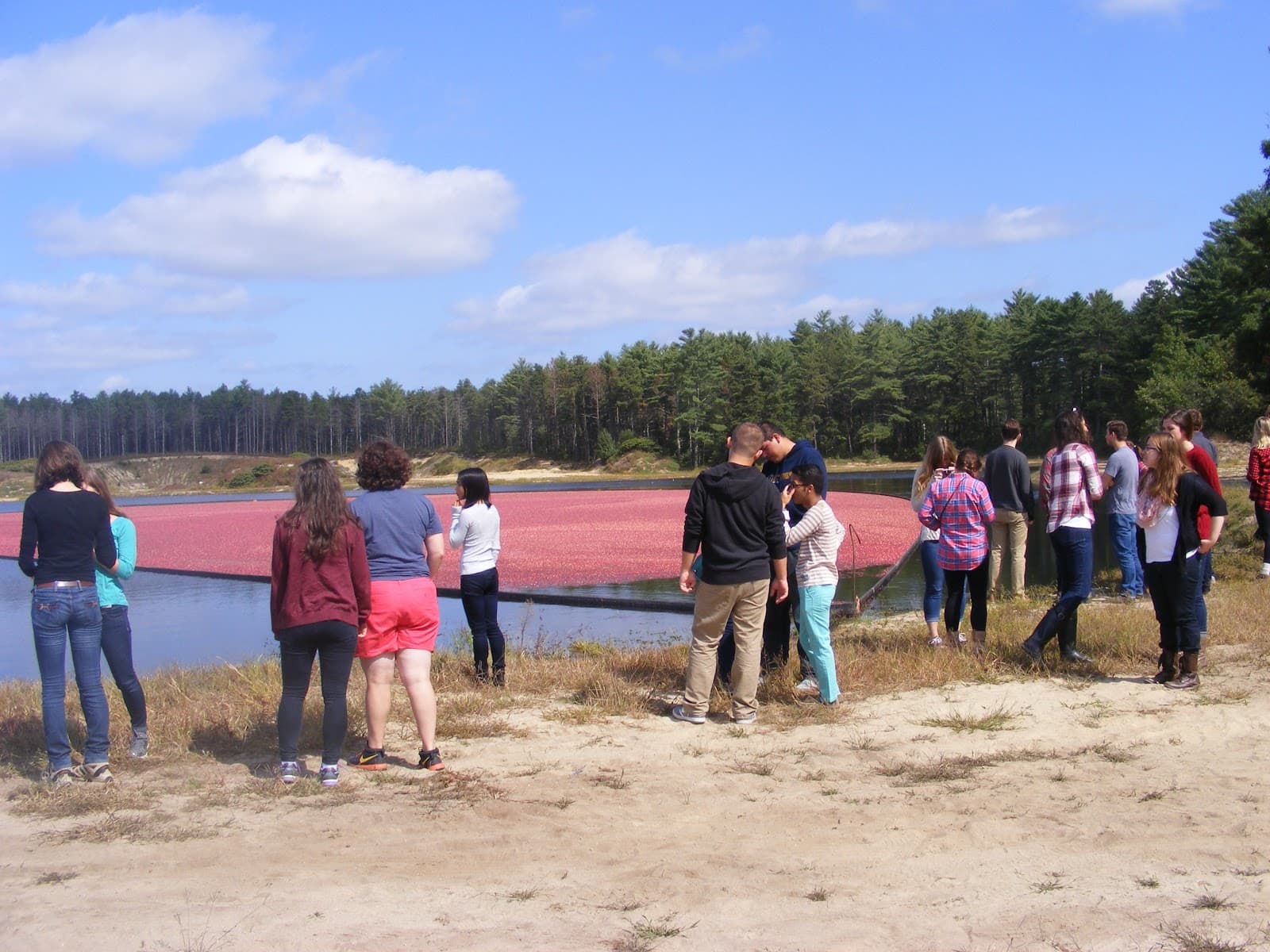 Sandy Neck Beach Barnstable - Image 1