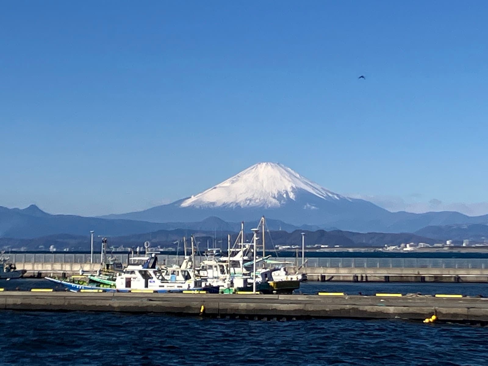 Enoshima Ohashi Bridge - Image 1