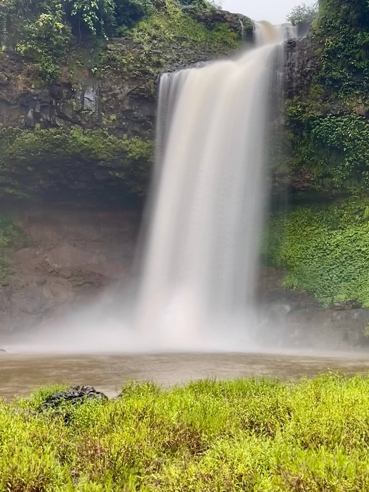 Overgrown Scenic Pathway