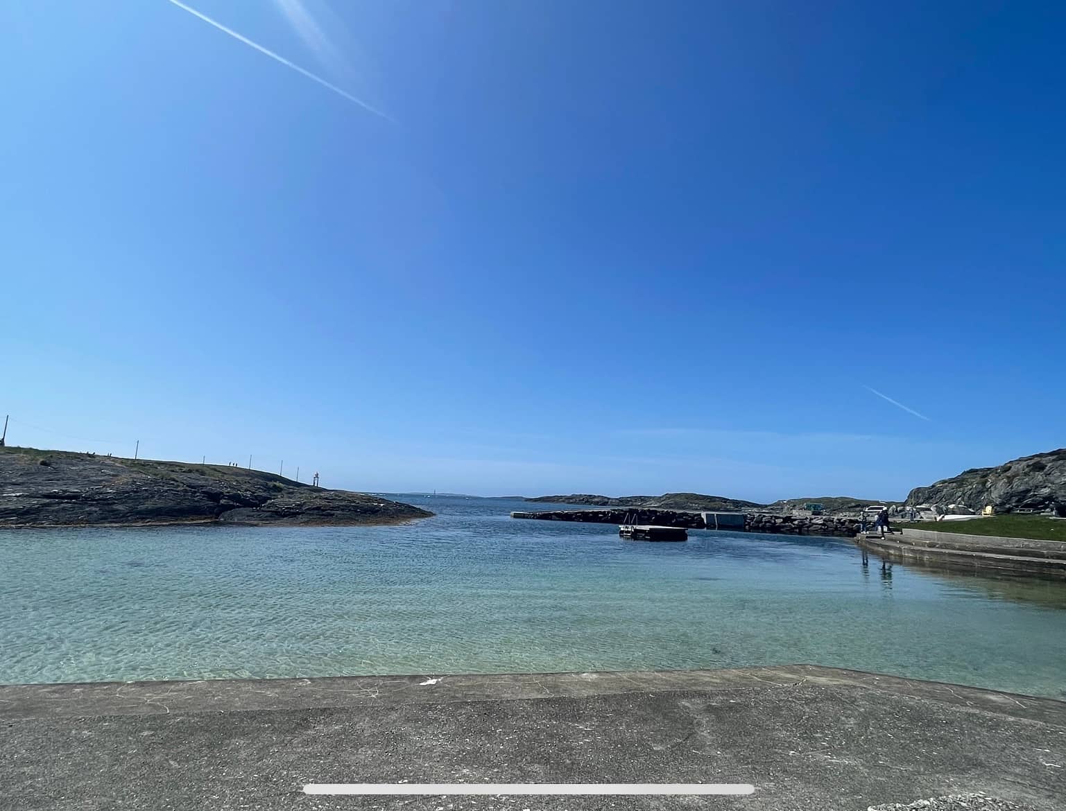 Charming Sheep Encounters