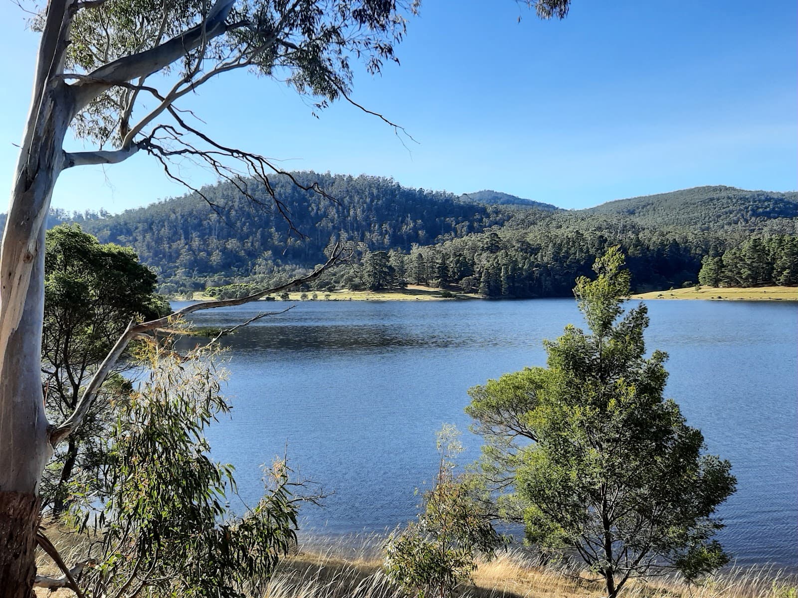 Risdon Brook Dam Reserve - Image 1