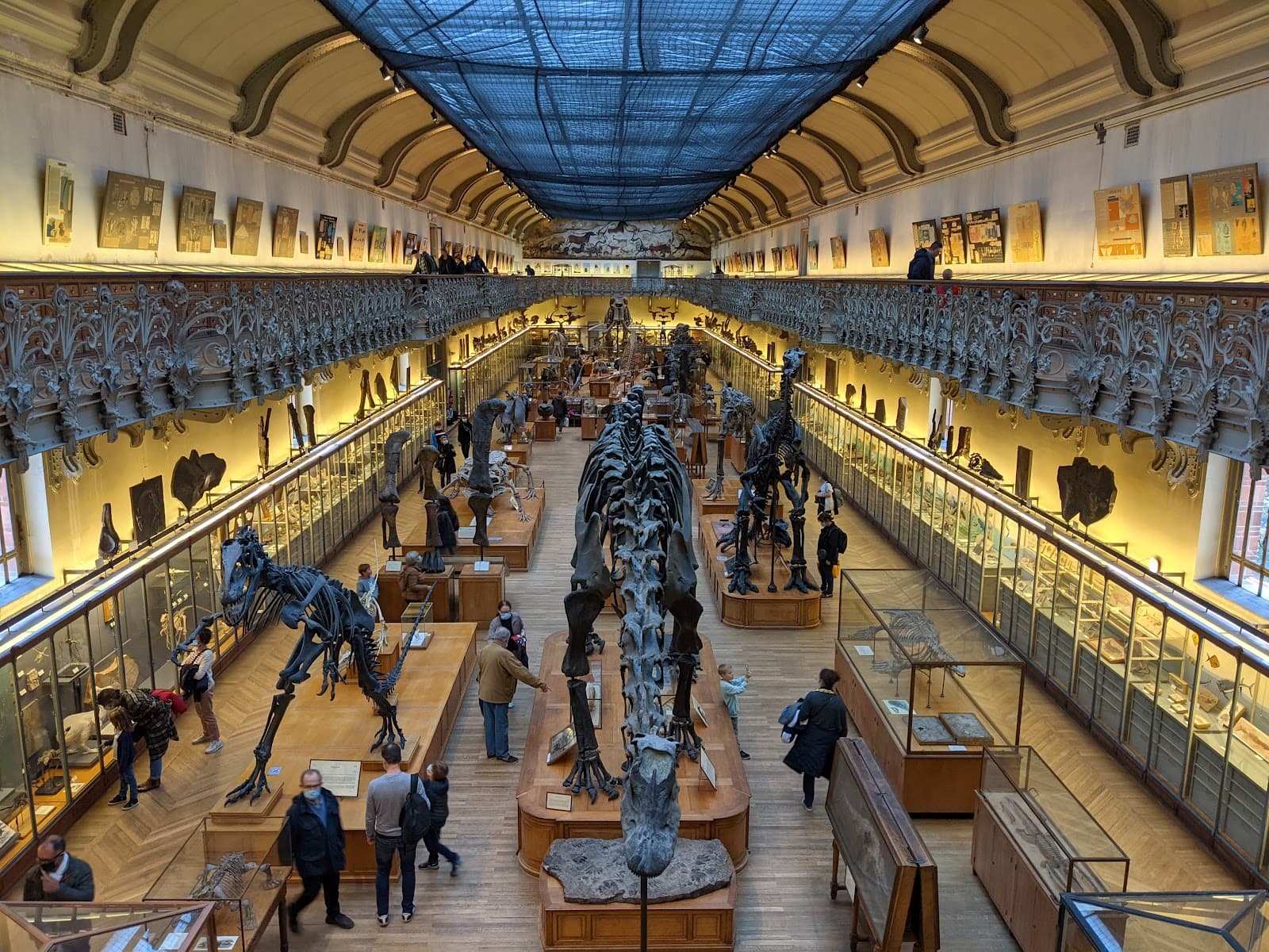 Muséum national d'Histoire naturelle - Image 1