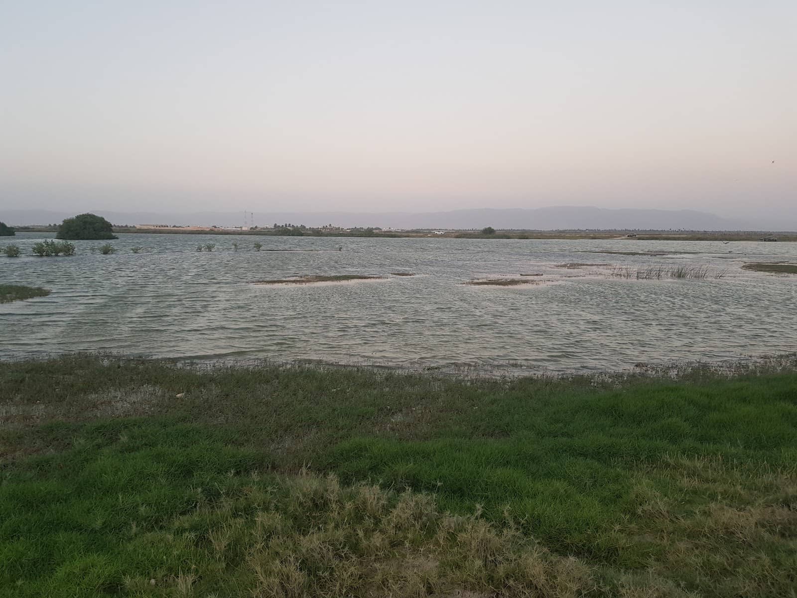 Lush Green Landscapes