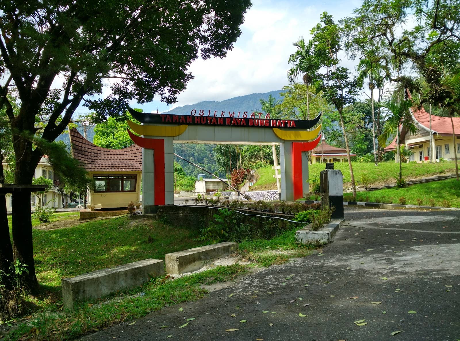 Photogenic Natural Beauty