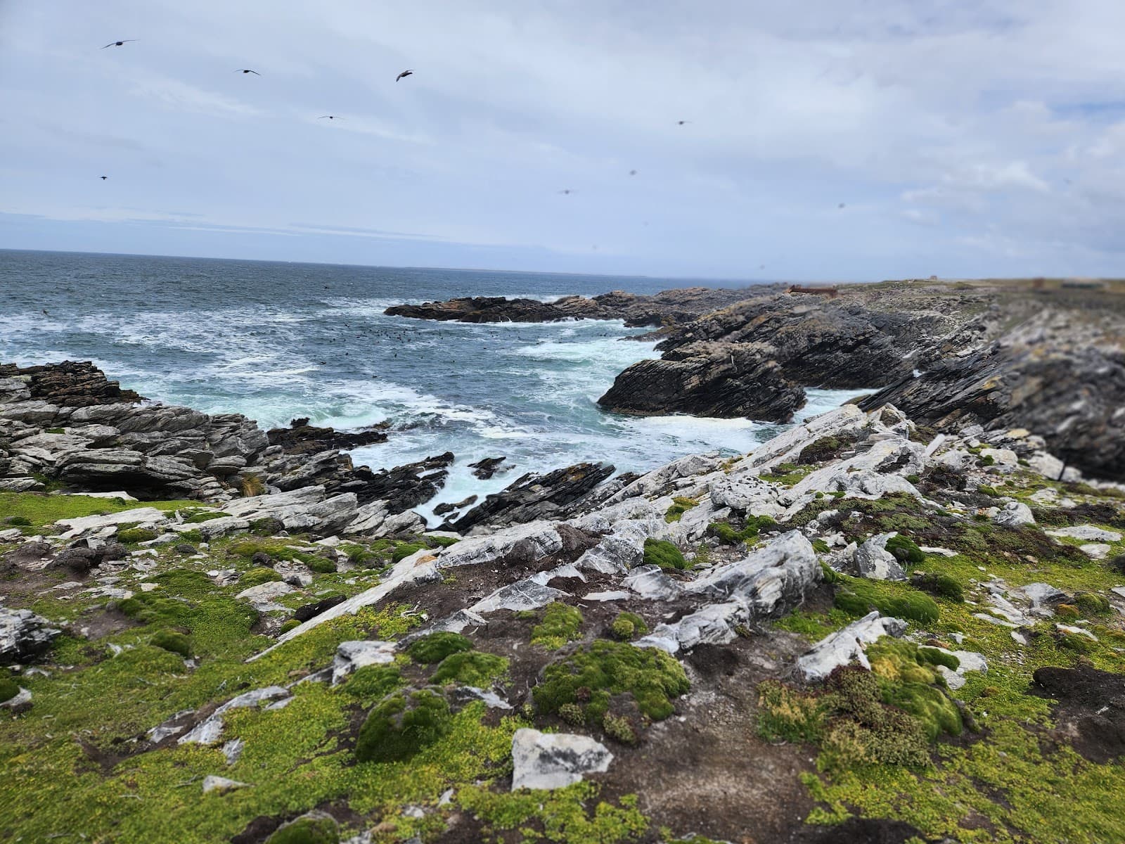 Williams Bay - Image 1