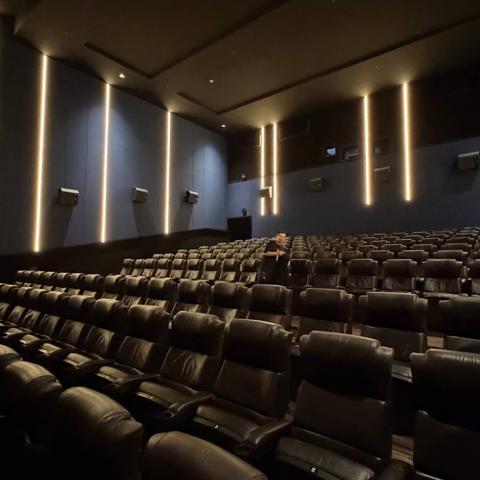 Comfortable & Scenic Cinema