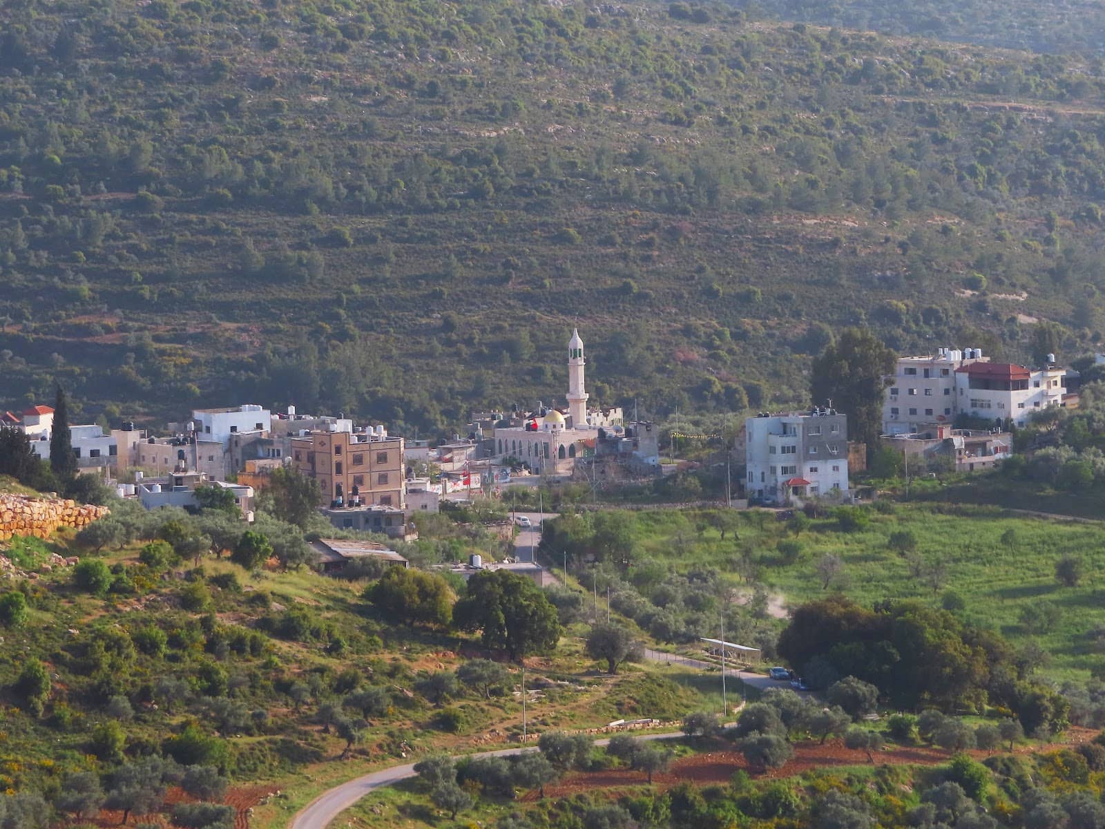 Photography Opportunities