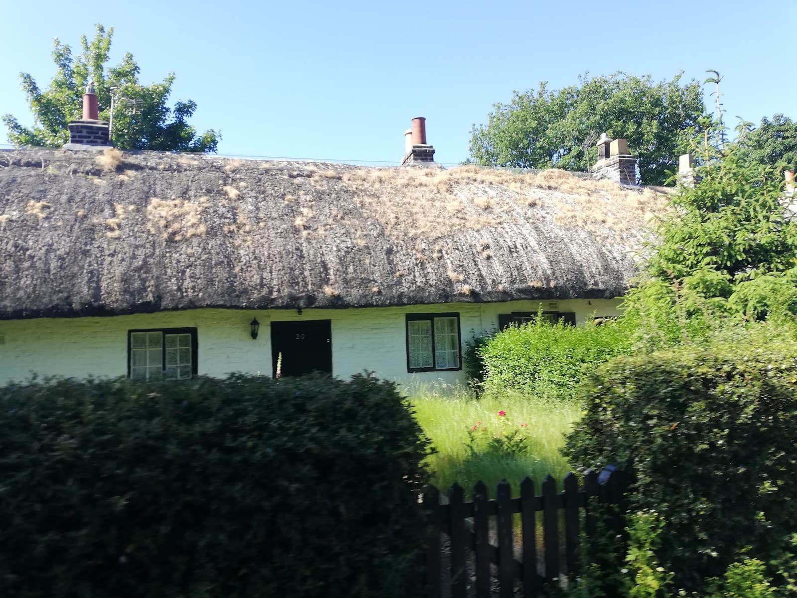 Hale Village - Image 1