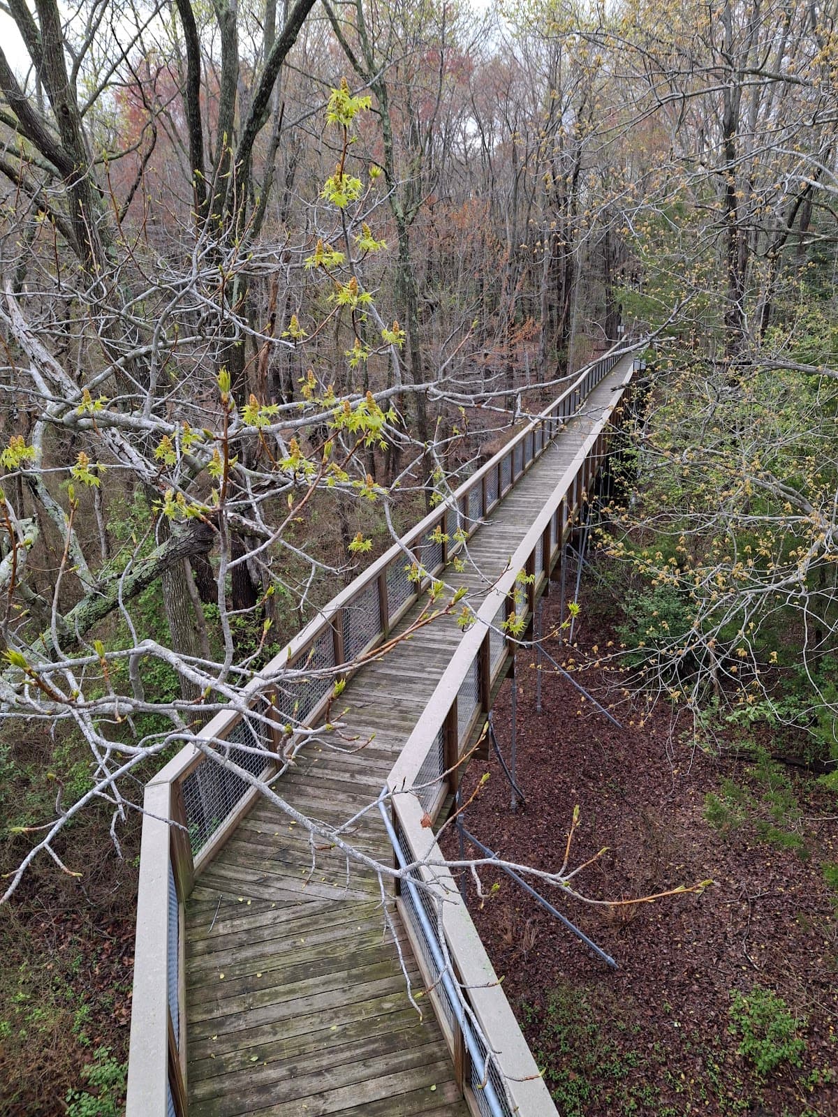 Little Creek Wildlife Area - Image 1