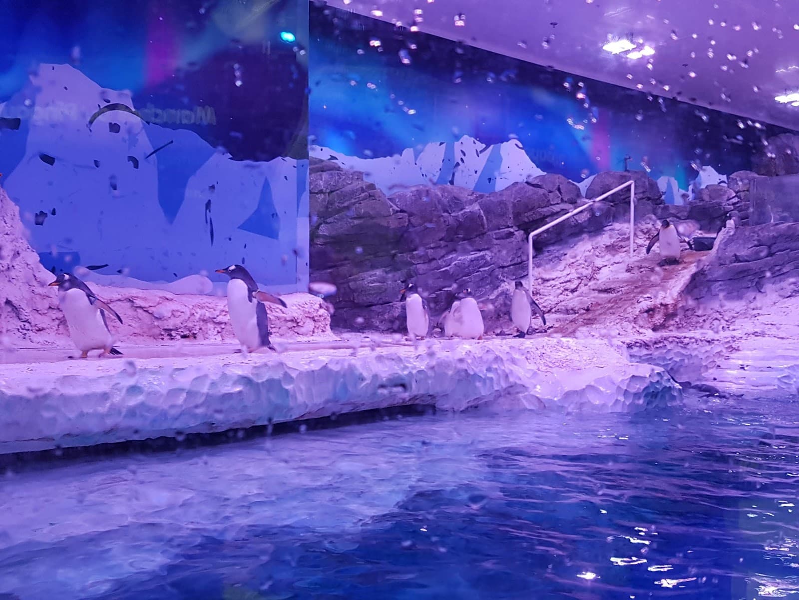 SEA LIFE Paris Val d'Europe - Image 1