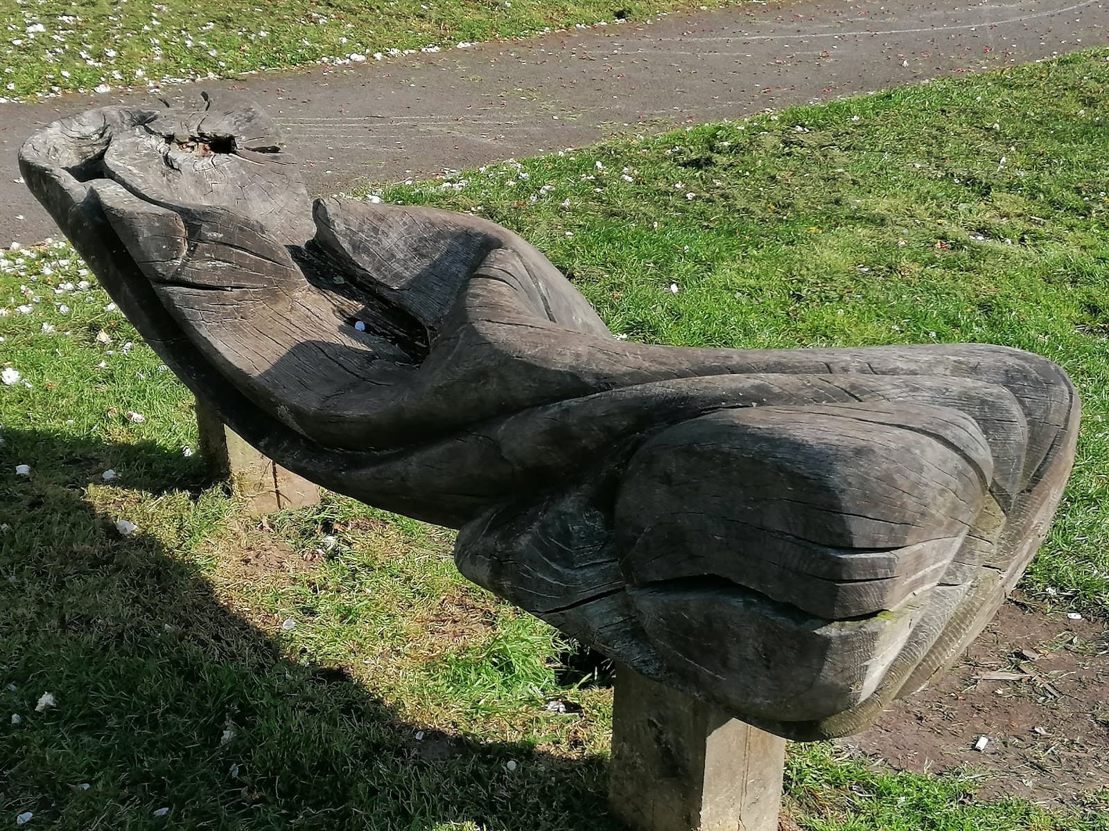 Courtenay Park - Image 1