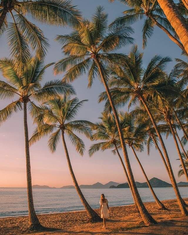 Palm Cove Queensland - Image 1