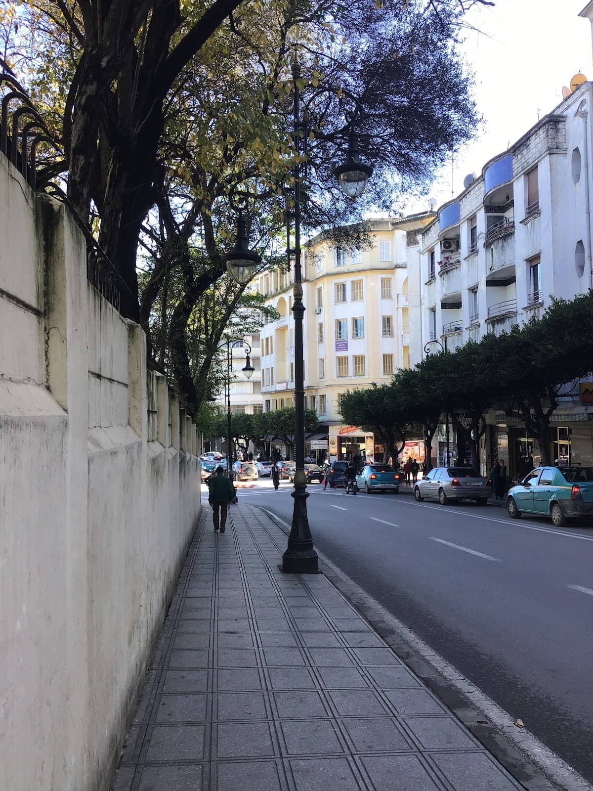 Vertical photo