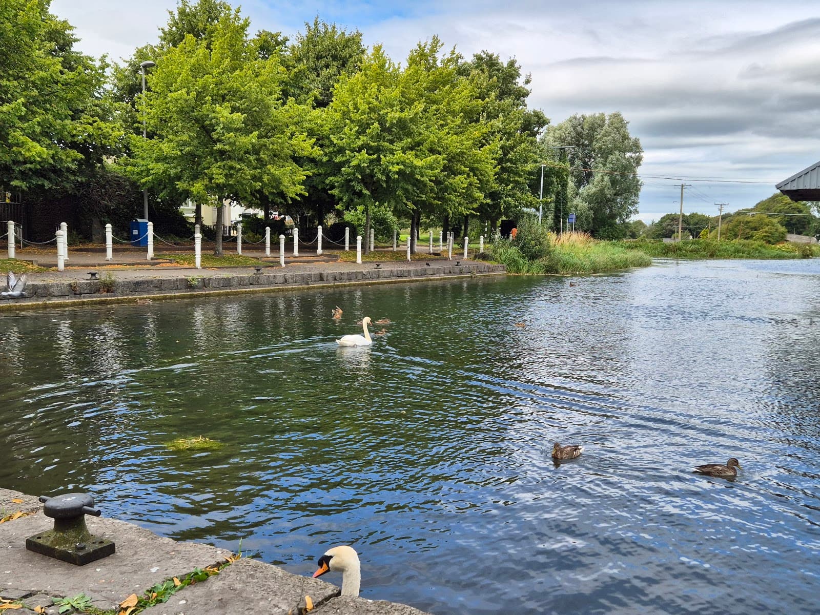Naas Harbour and Grand Canal - Image 1