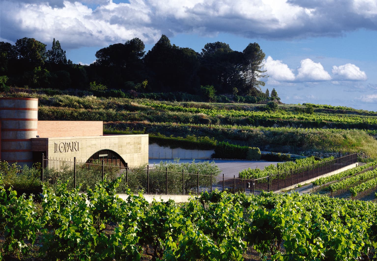 Llopart Winery & Viewpoint - Image 1