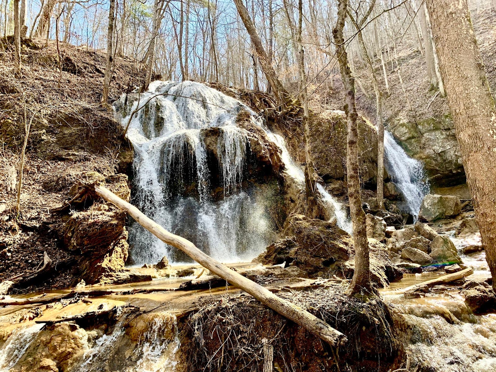 Falls Ridge Preserve - Image 1