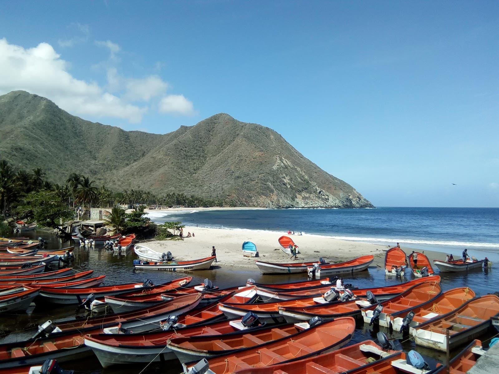 Playa Chuao - Image 1