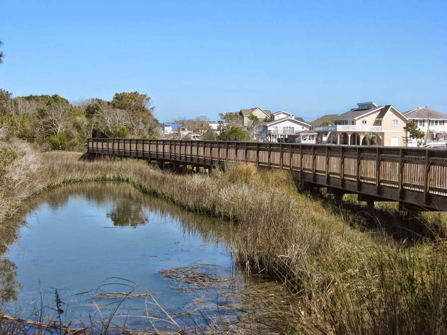 Living Shoreline Project