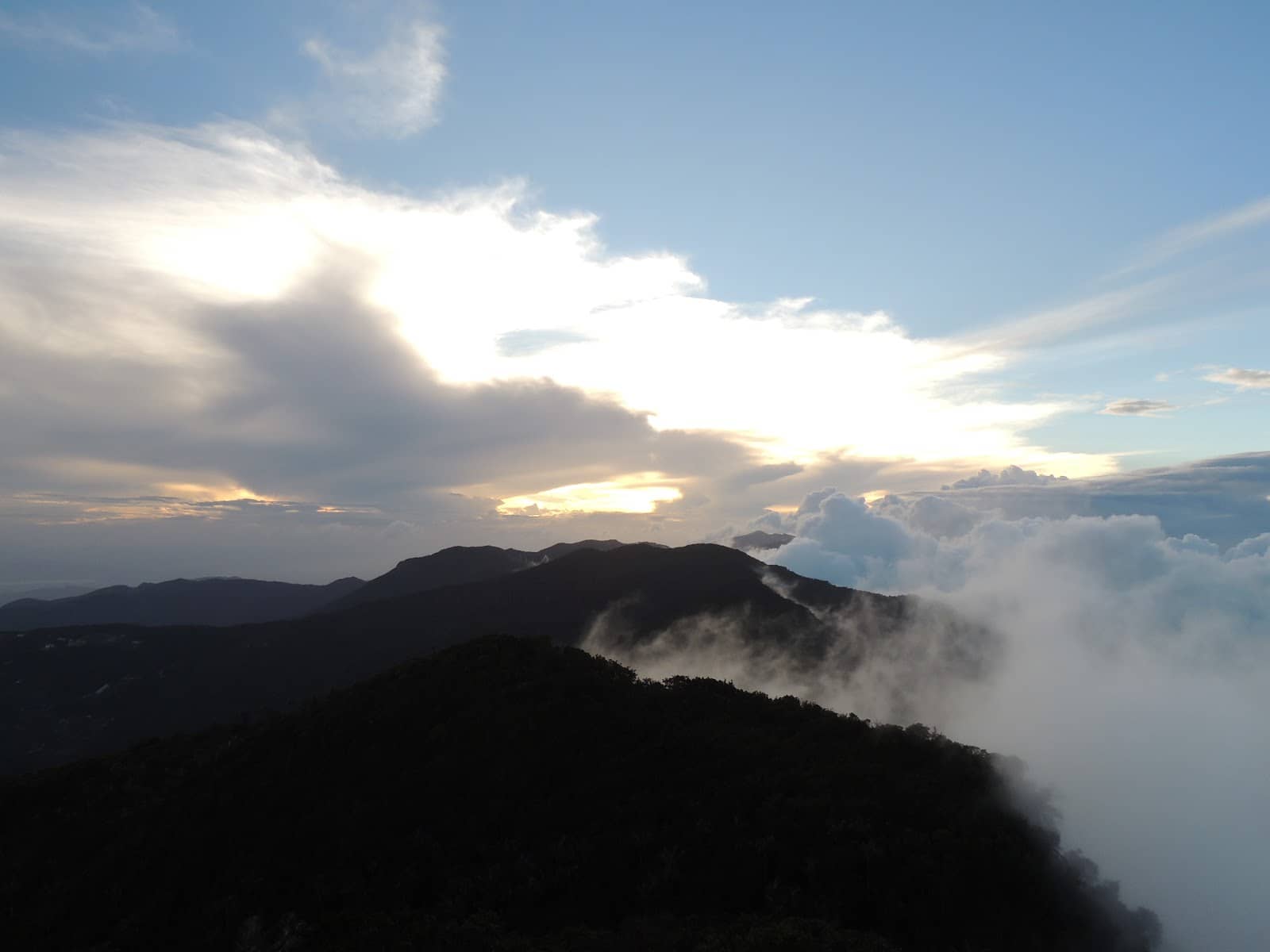 Cloud Forest Ambiance