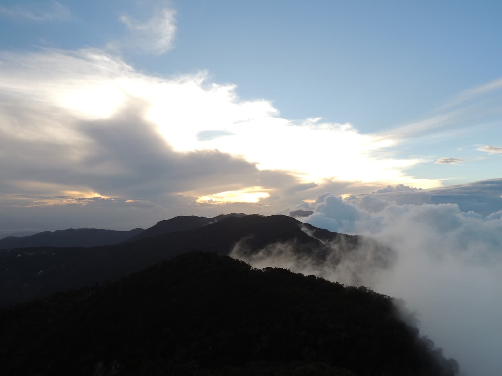 Pico Codazzi - Image 1