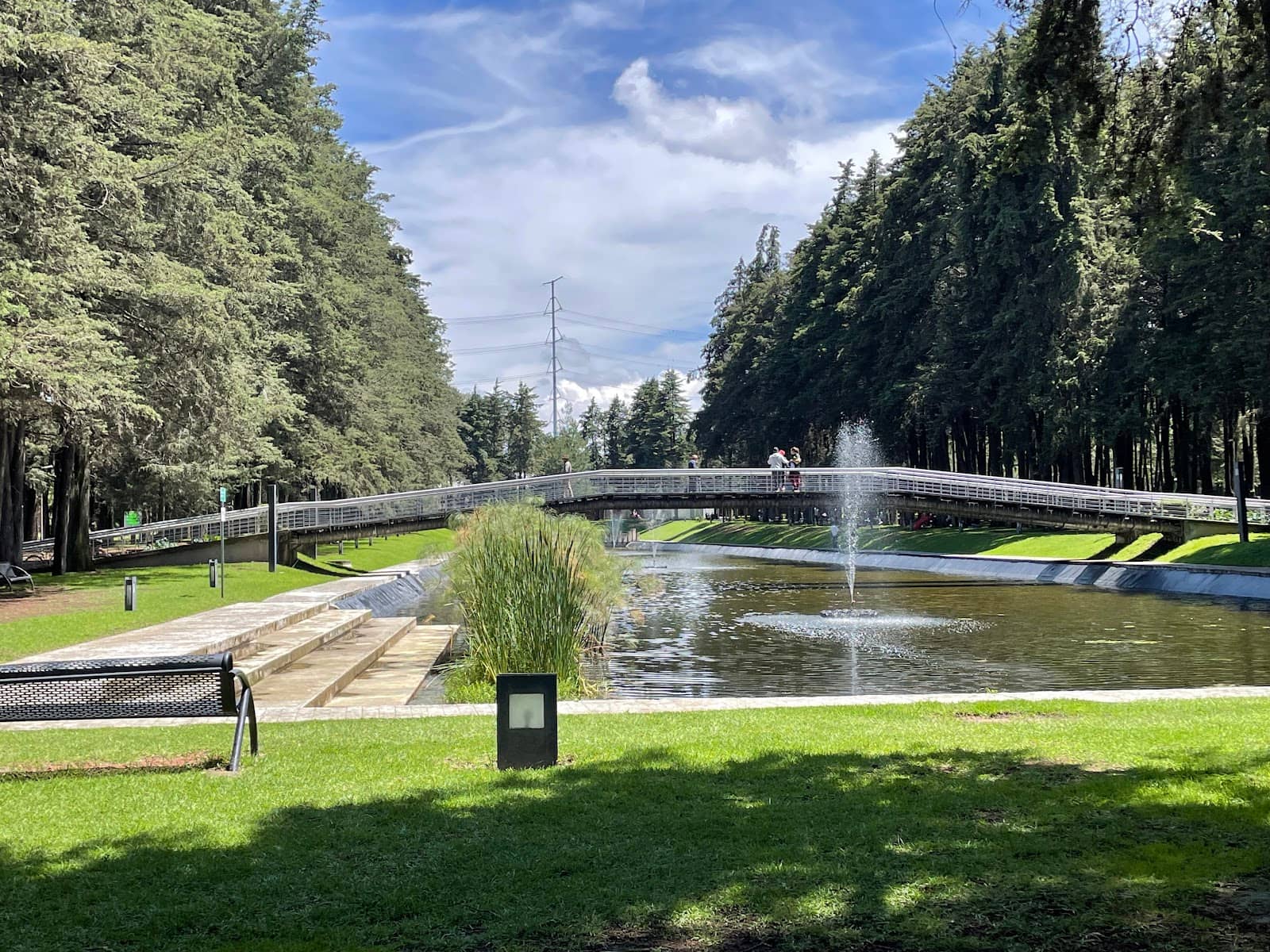 Expansive Green Lawns