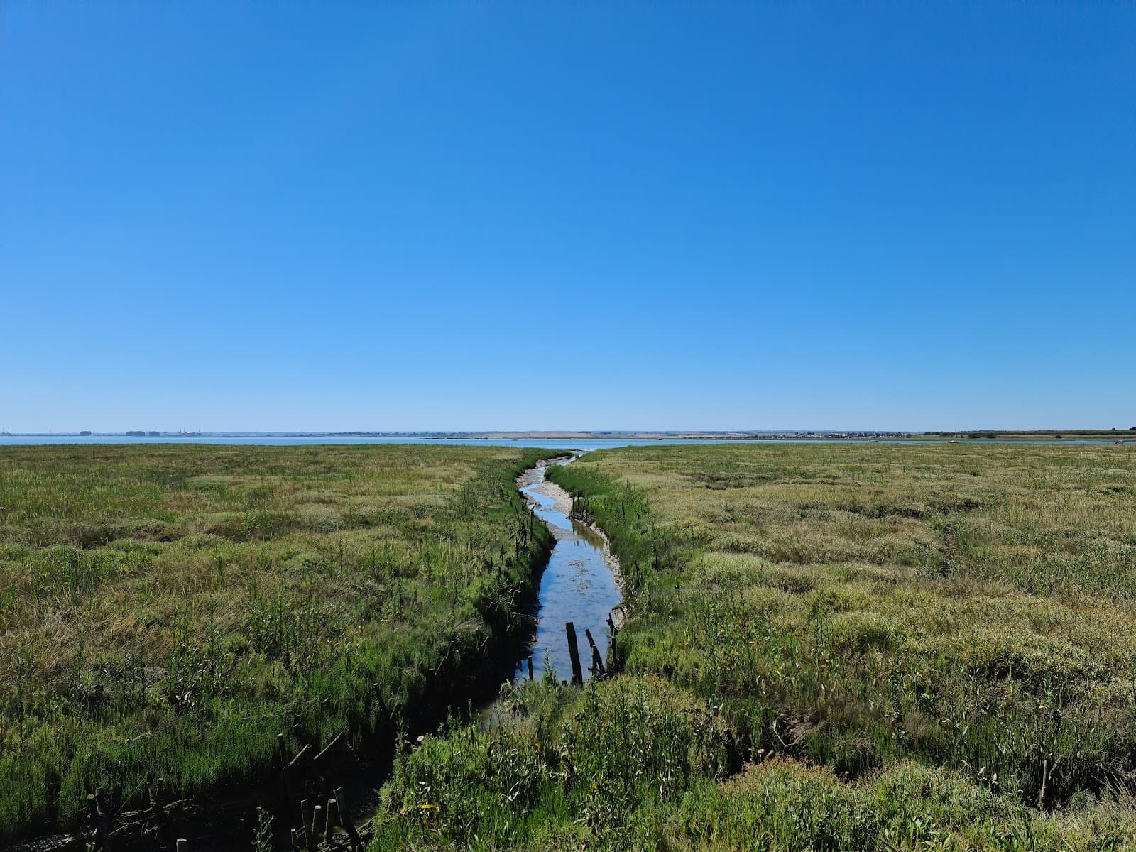 Two Tree Island Nature Reserve - Image 1