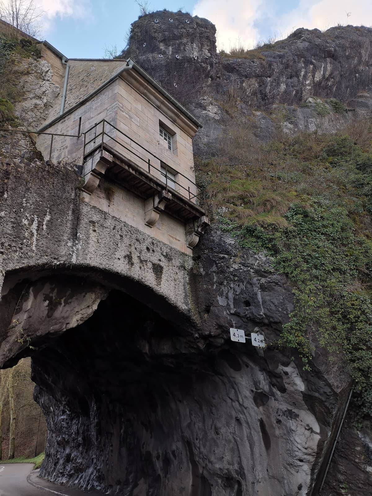 Vertical photo