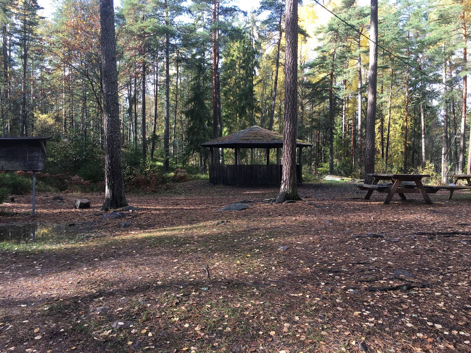 Forest Hiking Trails