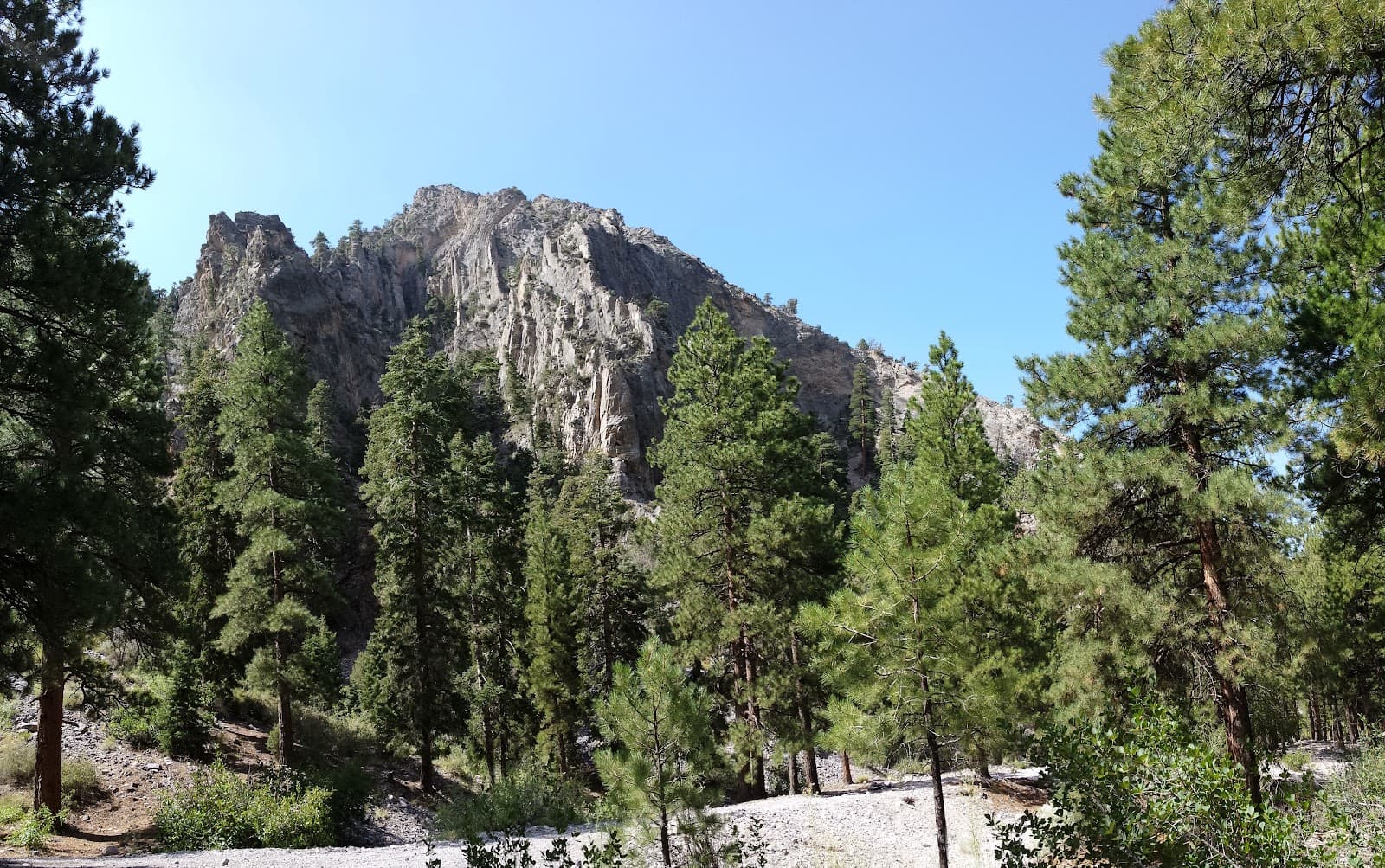 Carpenter Canyon - Image 1