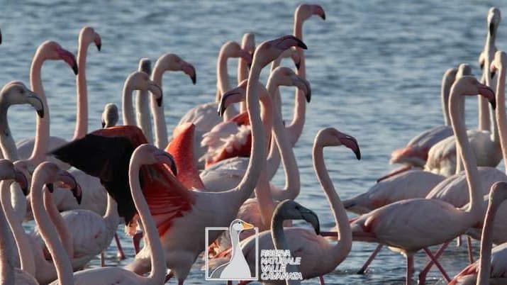 Valle Cavanata Nature Reserve - Image 1