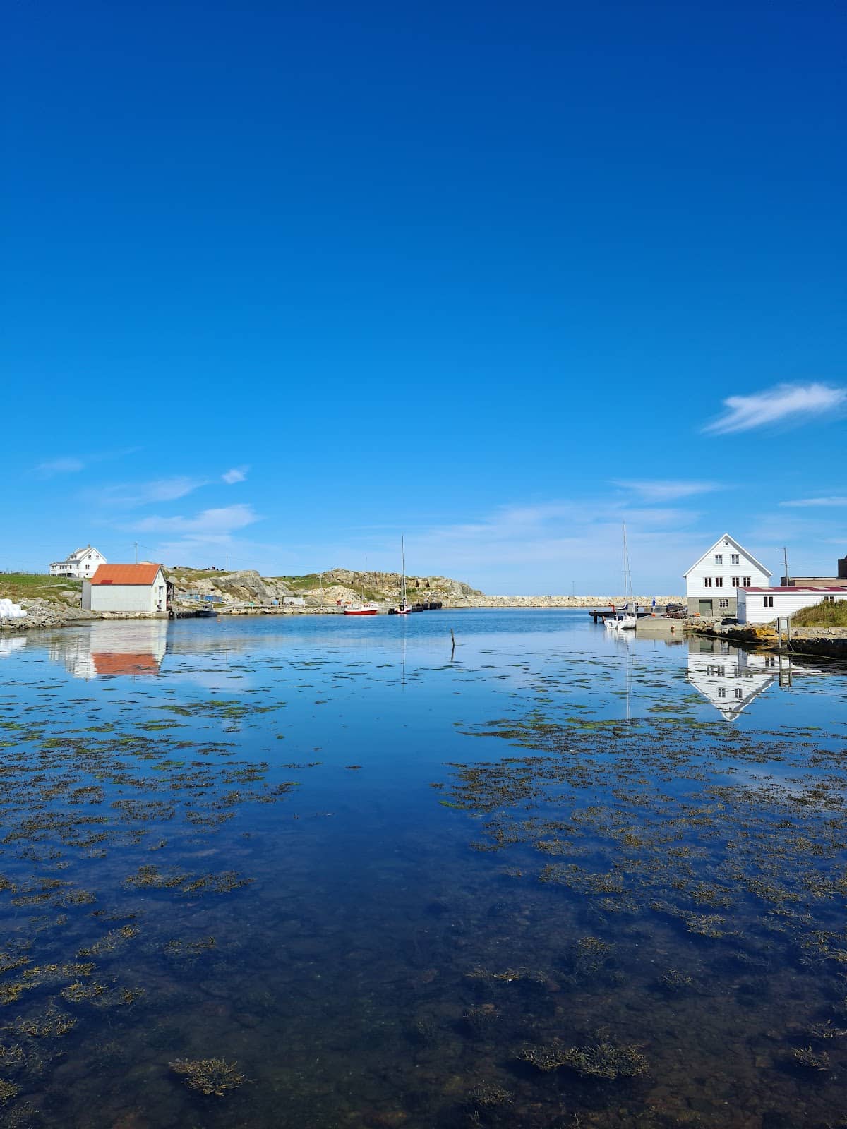 Birdwatching Paradise