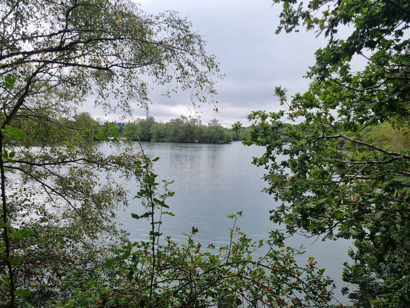 Wellington Country Park - Image 1